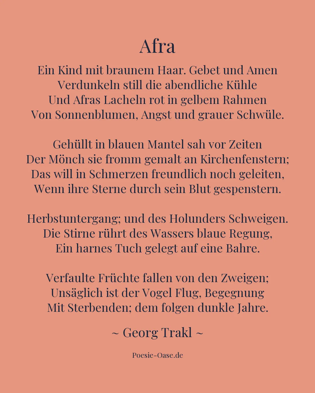 Illustration zu Afra