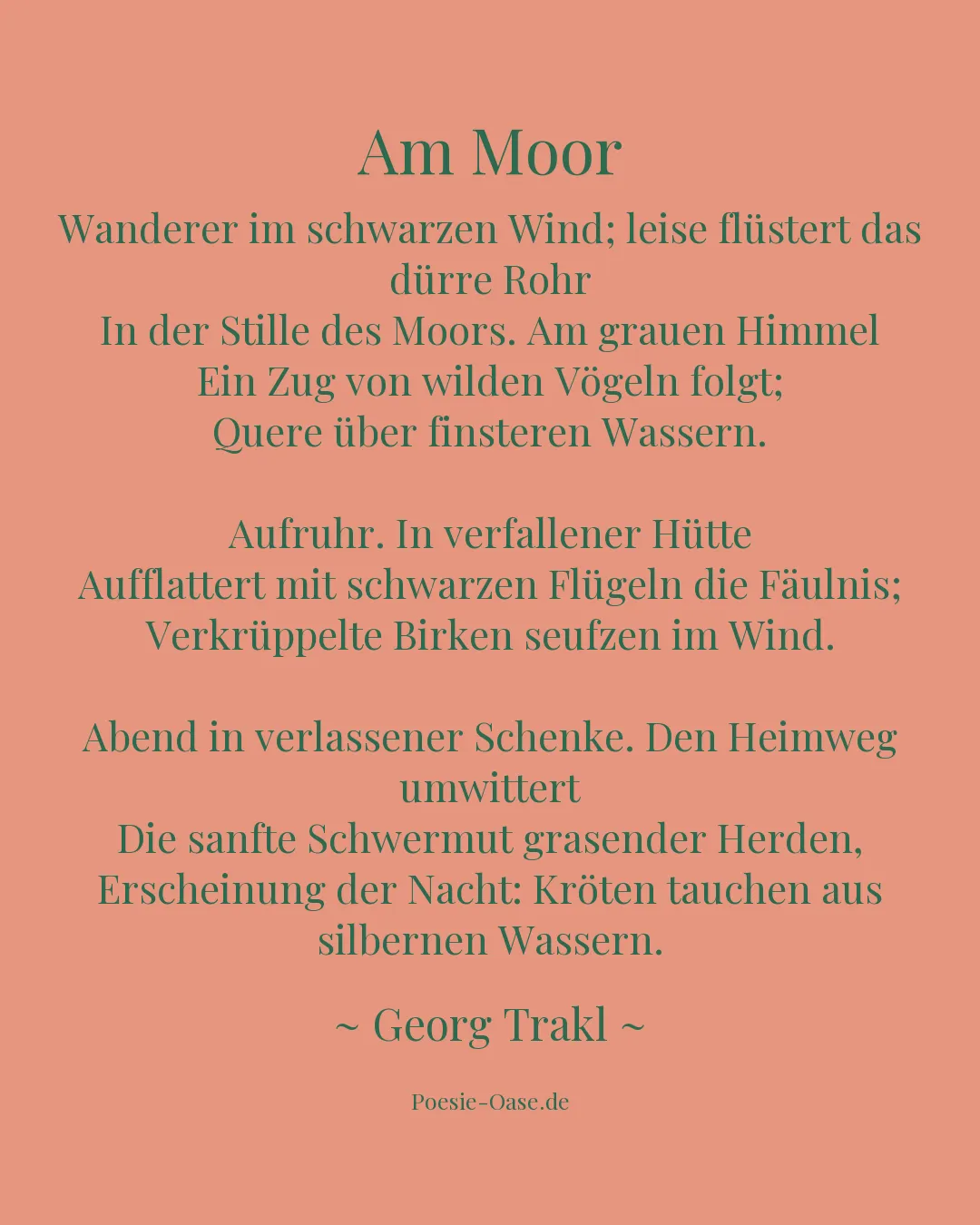 Illustration zu Am Moor