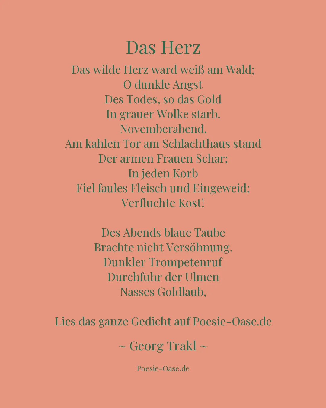 Illustration zu Das Herz