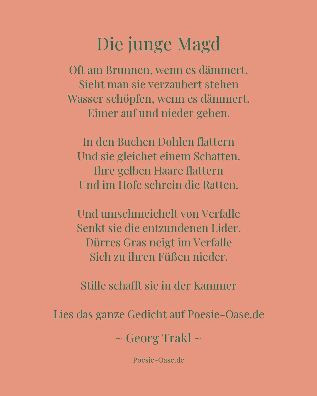 Illustration zu Die junge Magd