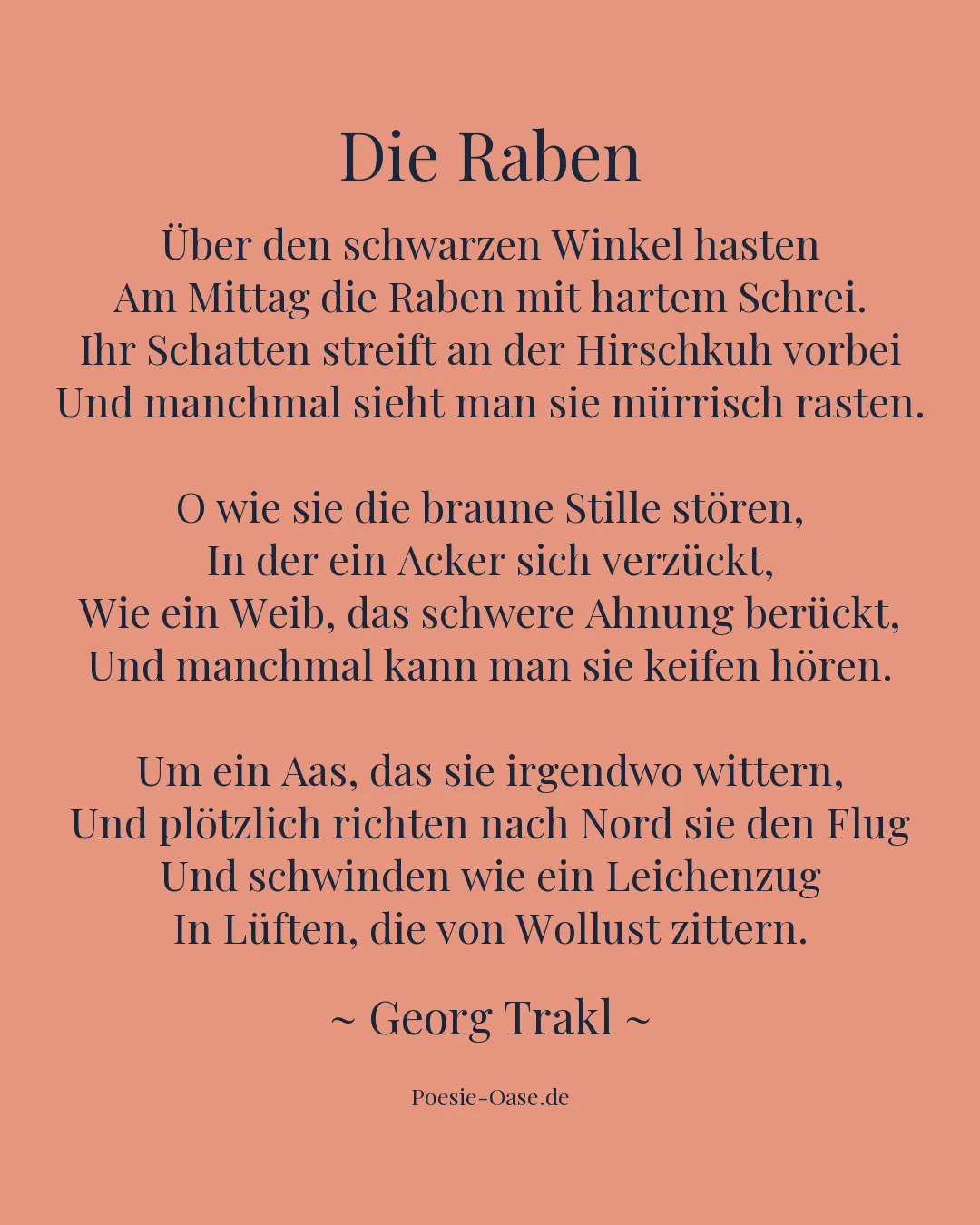 Illustration zu Die Raben