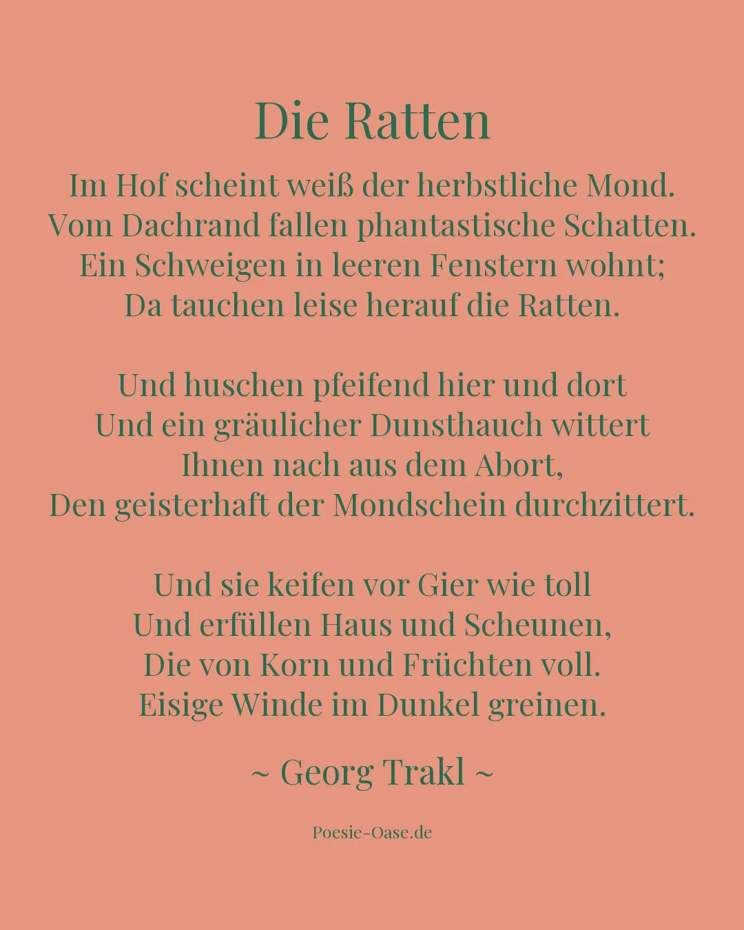 Illustration zu Die Ratten