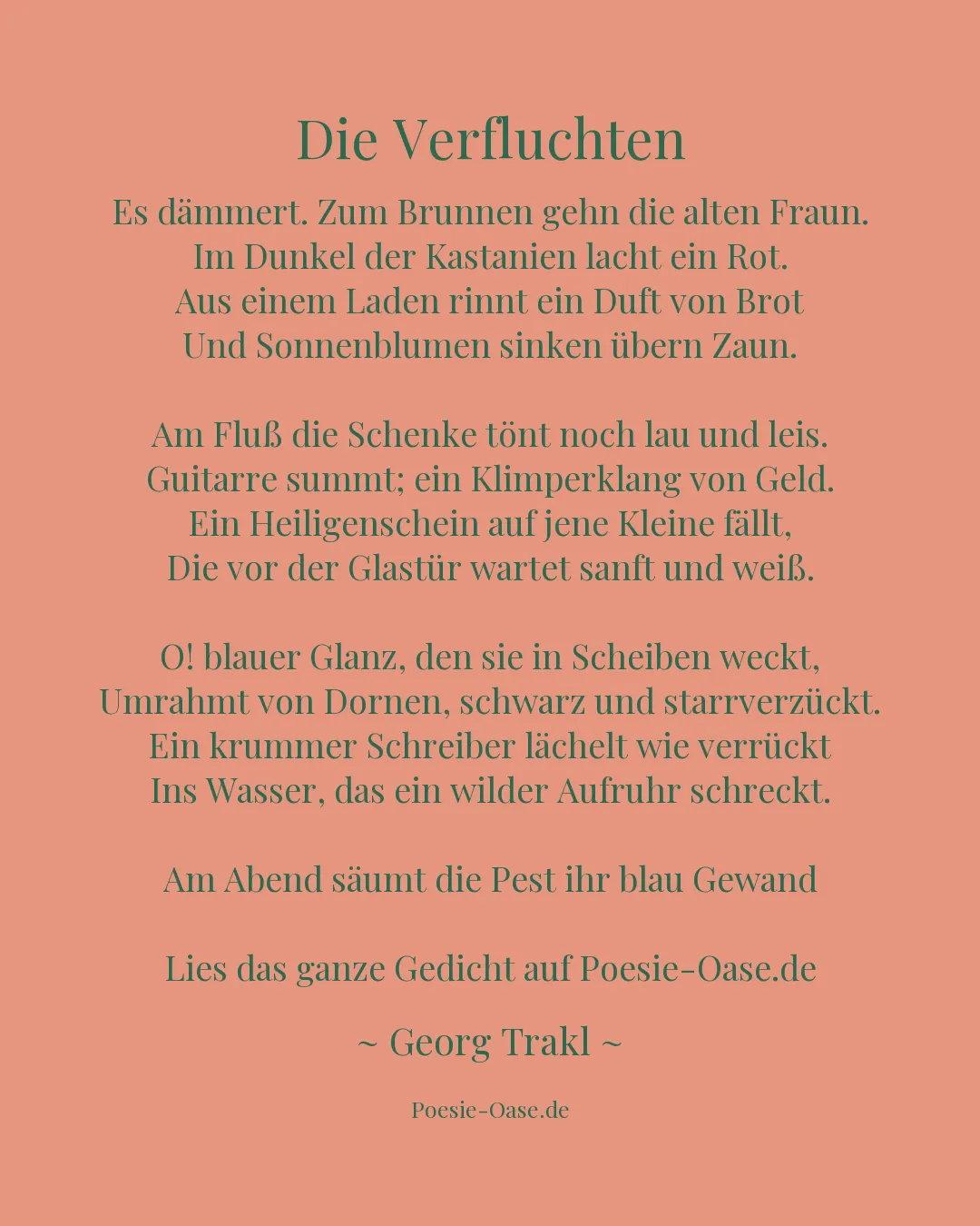 Illustration zu Die Verfluchten
