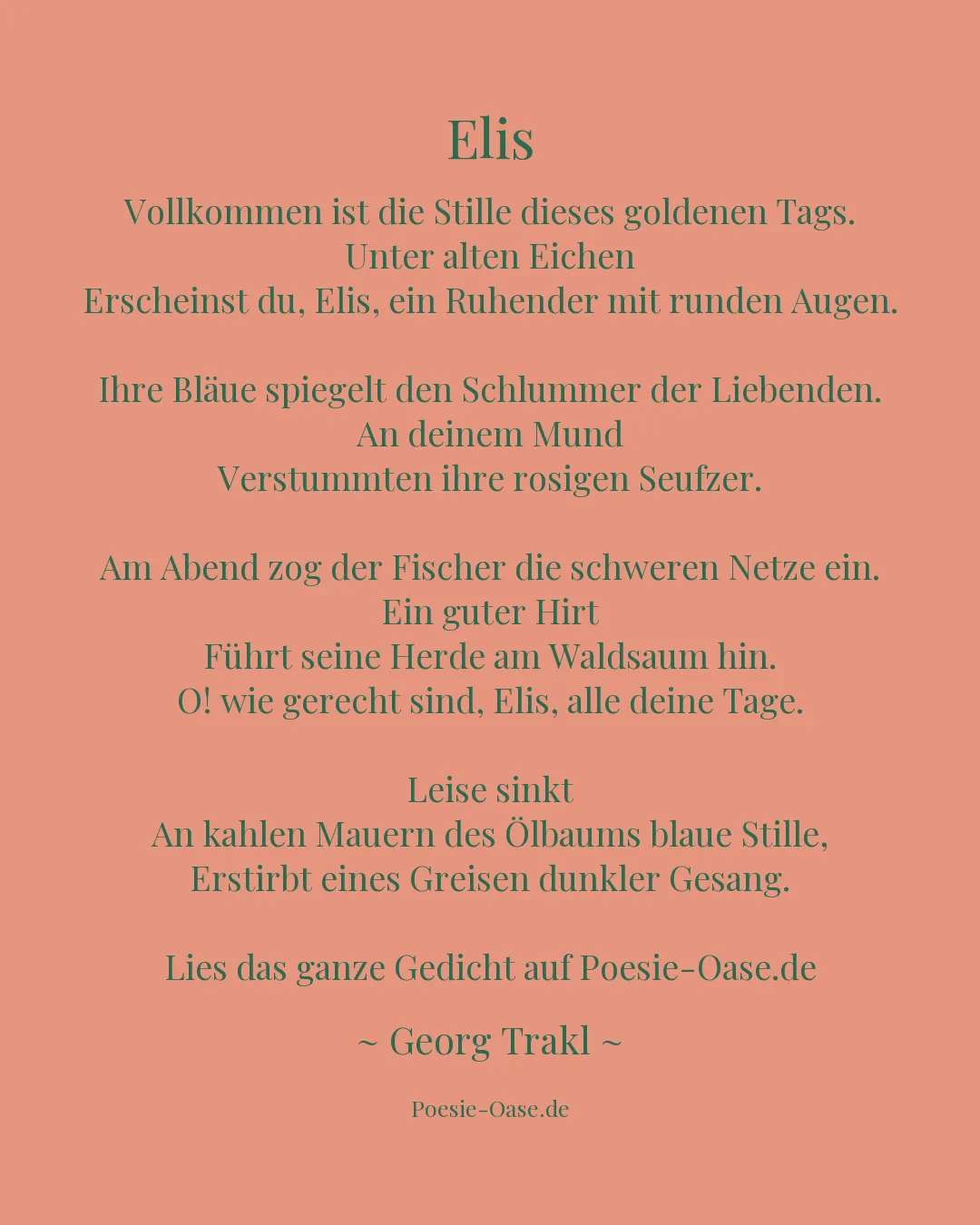 Illustration zu Elis