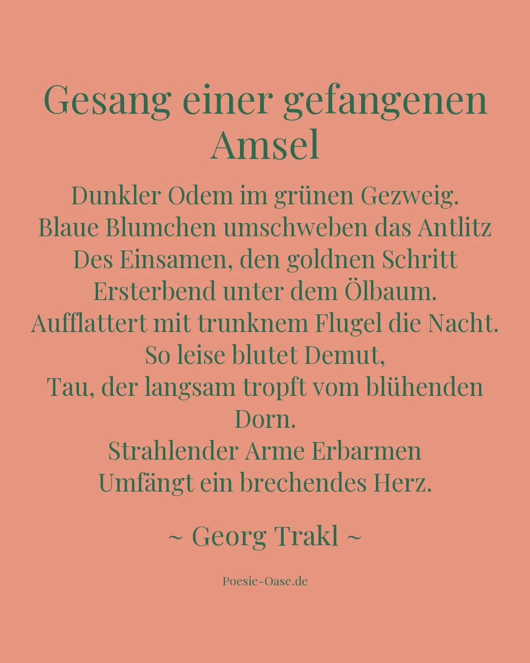 Illustration zu Gesang einer gefangenen Amsel