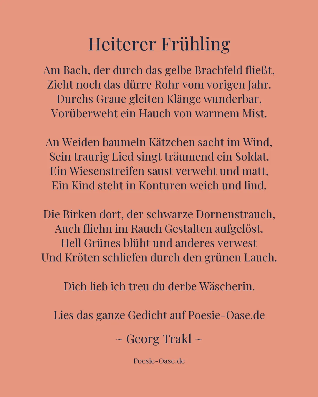 Illustration zu Heiterer Frühling