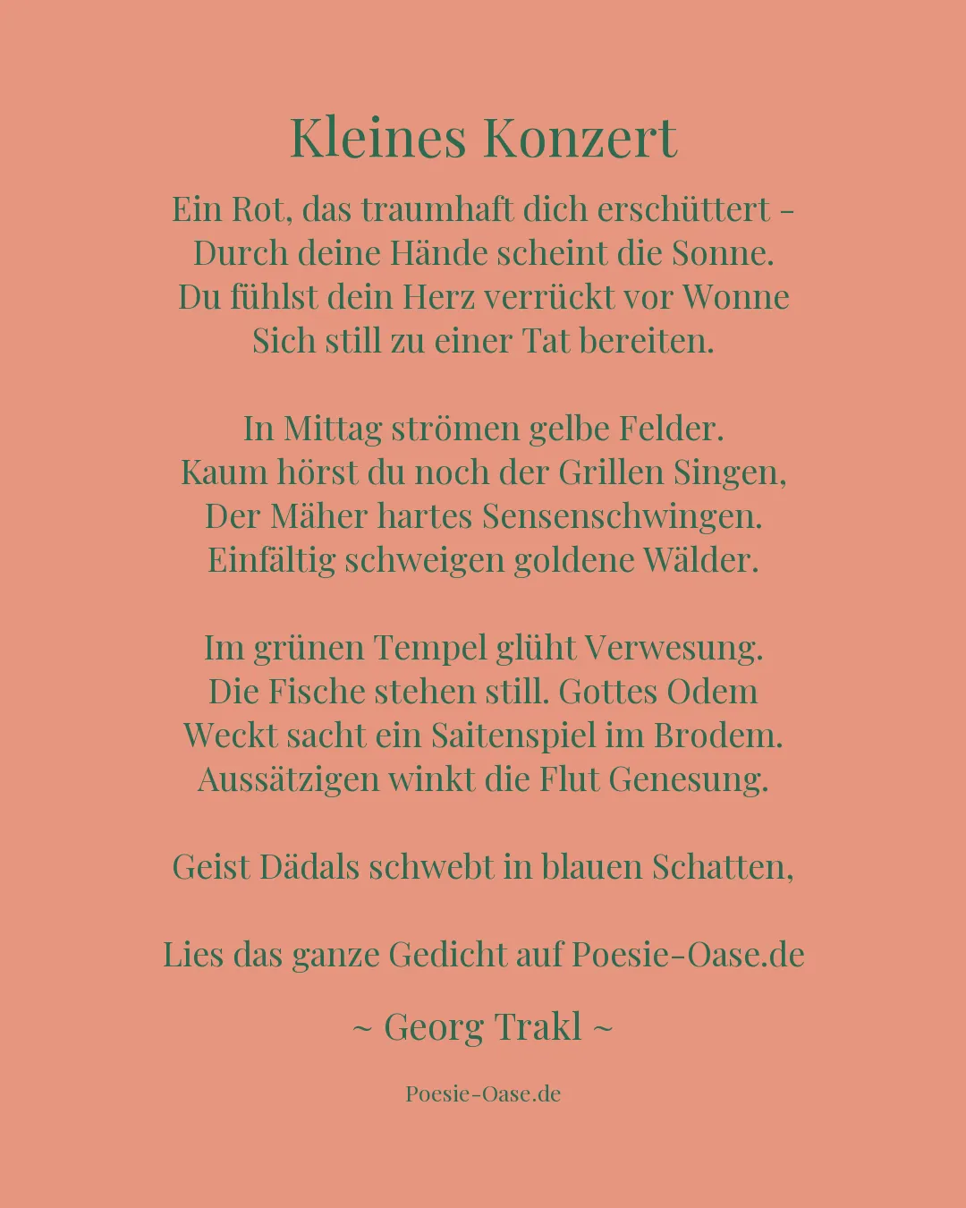 Illustration zu Kleines Konzert