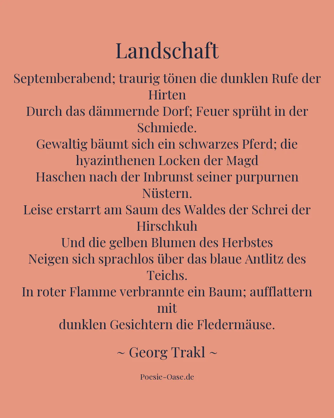 Illustration zu Landschaft