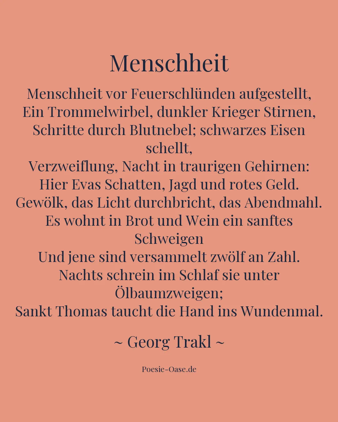 Illustration zu Menschheit