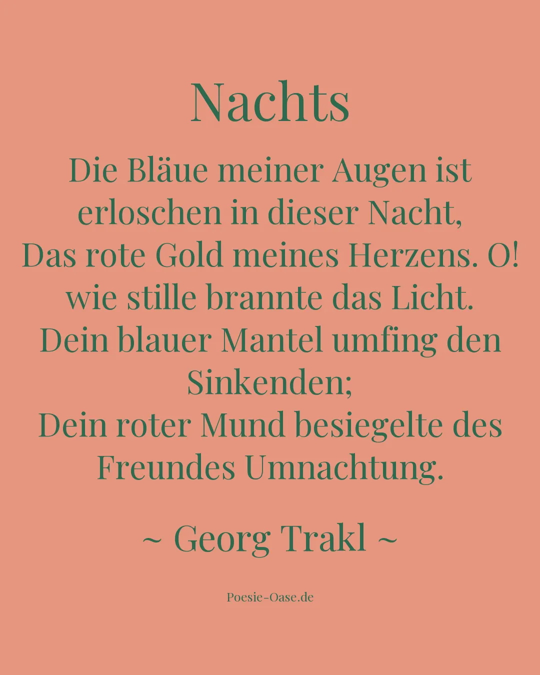 Illustration zu Nachts
