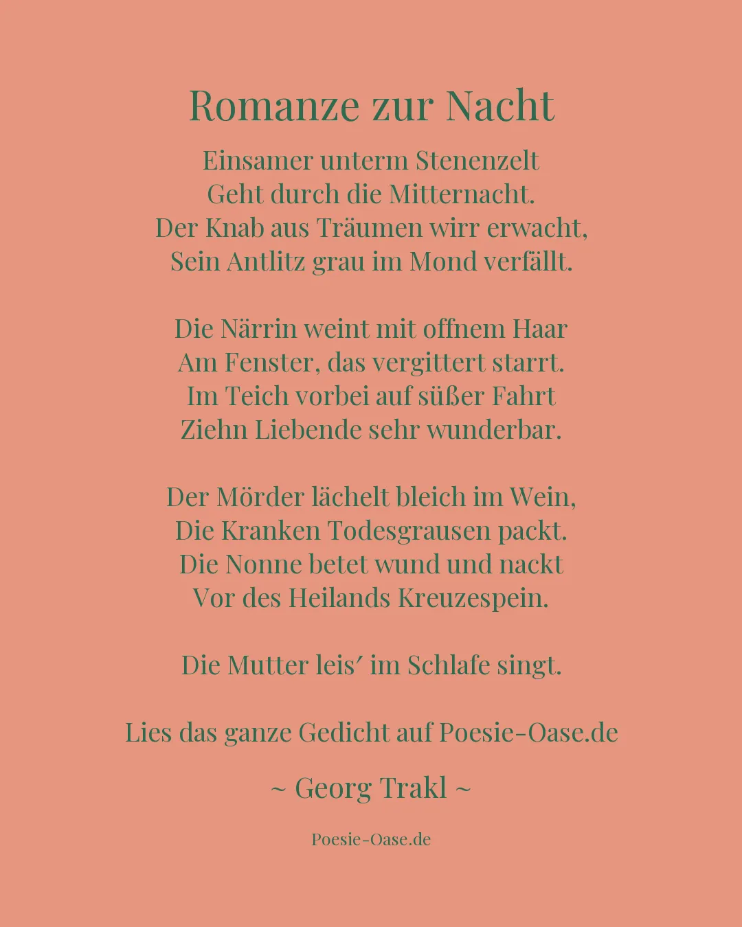 Illustration zu Romanze zur Nacht