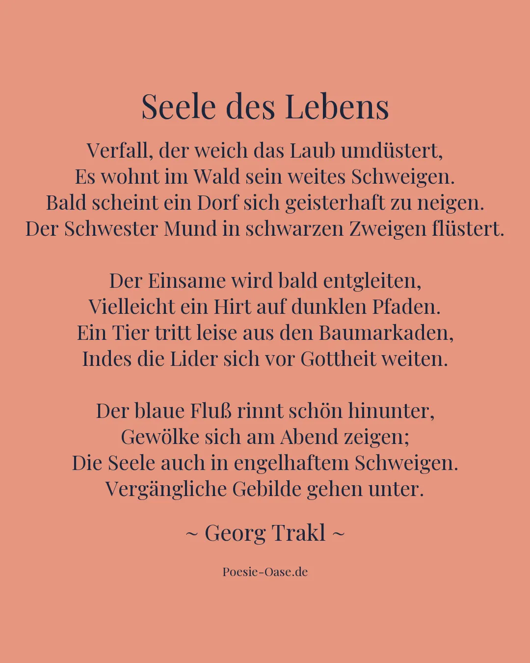 Illustration zu Seele des Lebens