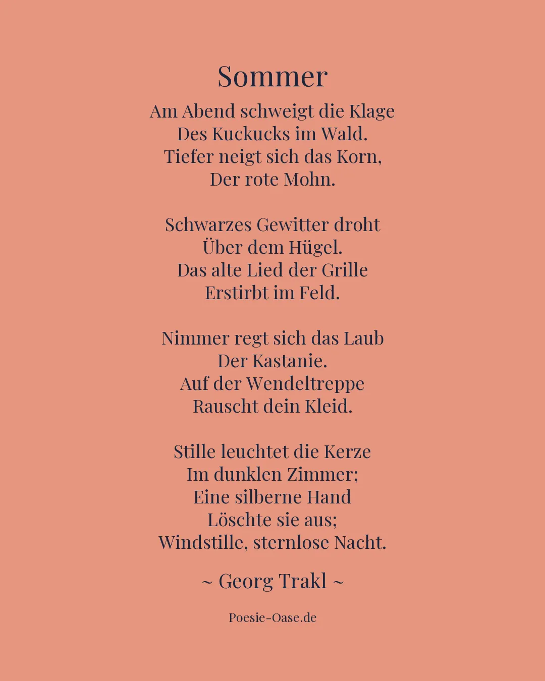 Illustration zu Sommer