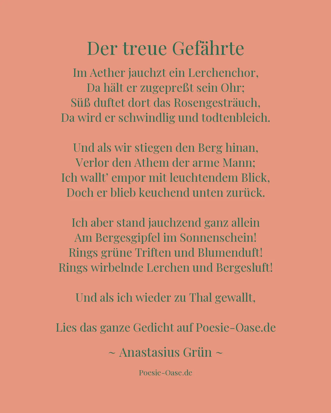 Illustration zu Der treue Gefährte