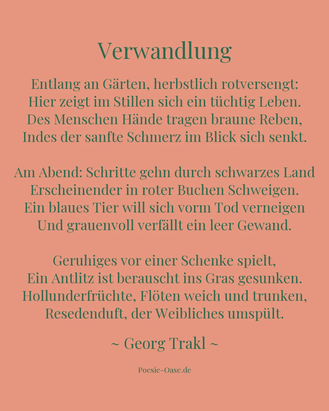 Illustration zu Verwandlung