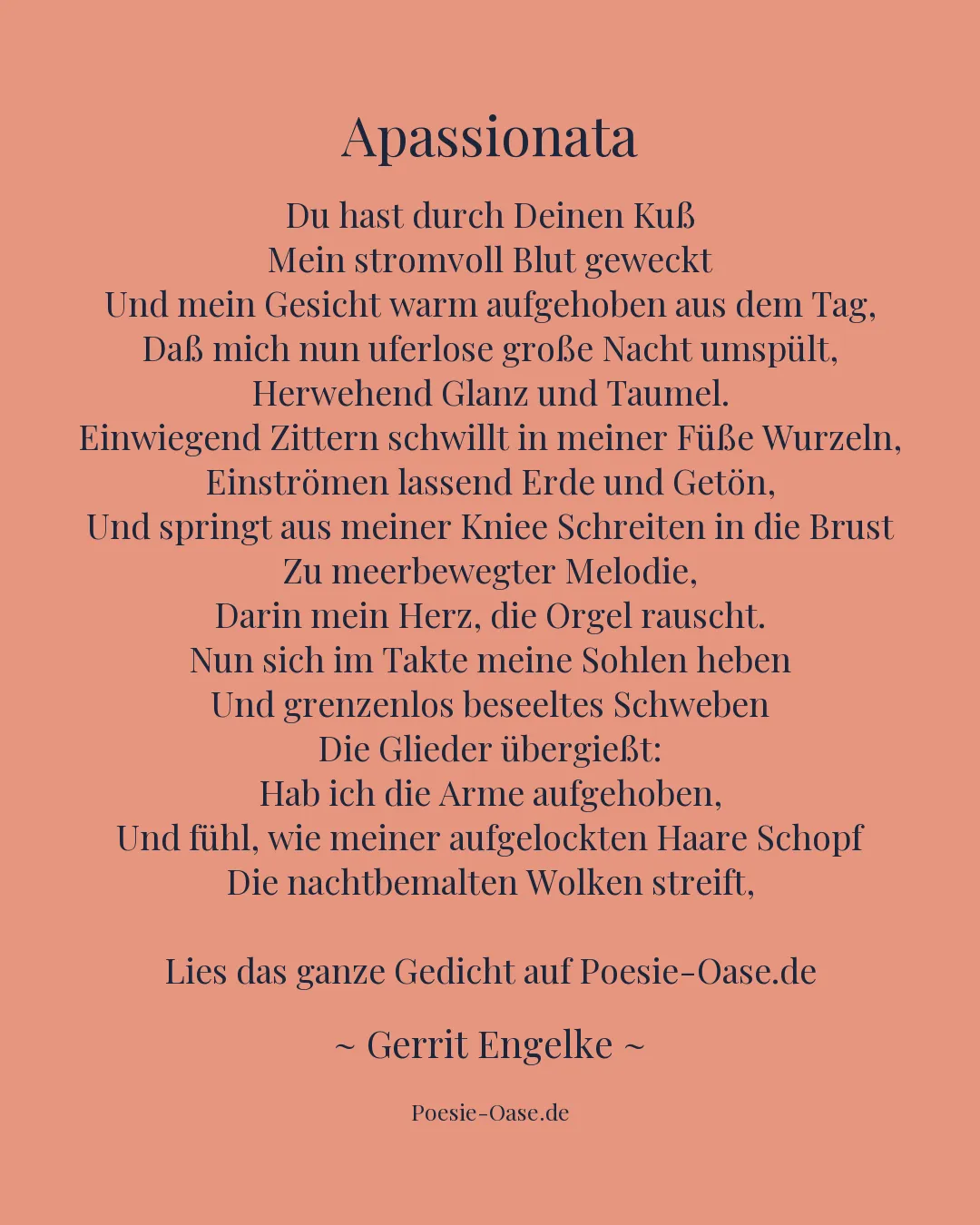 Illustration zu Apassionata