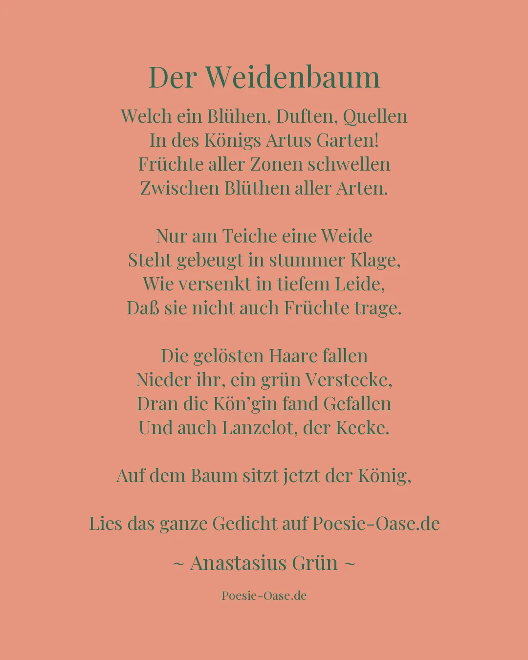 Illustration zu Der Weidenbaum