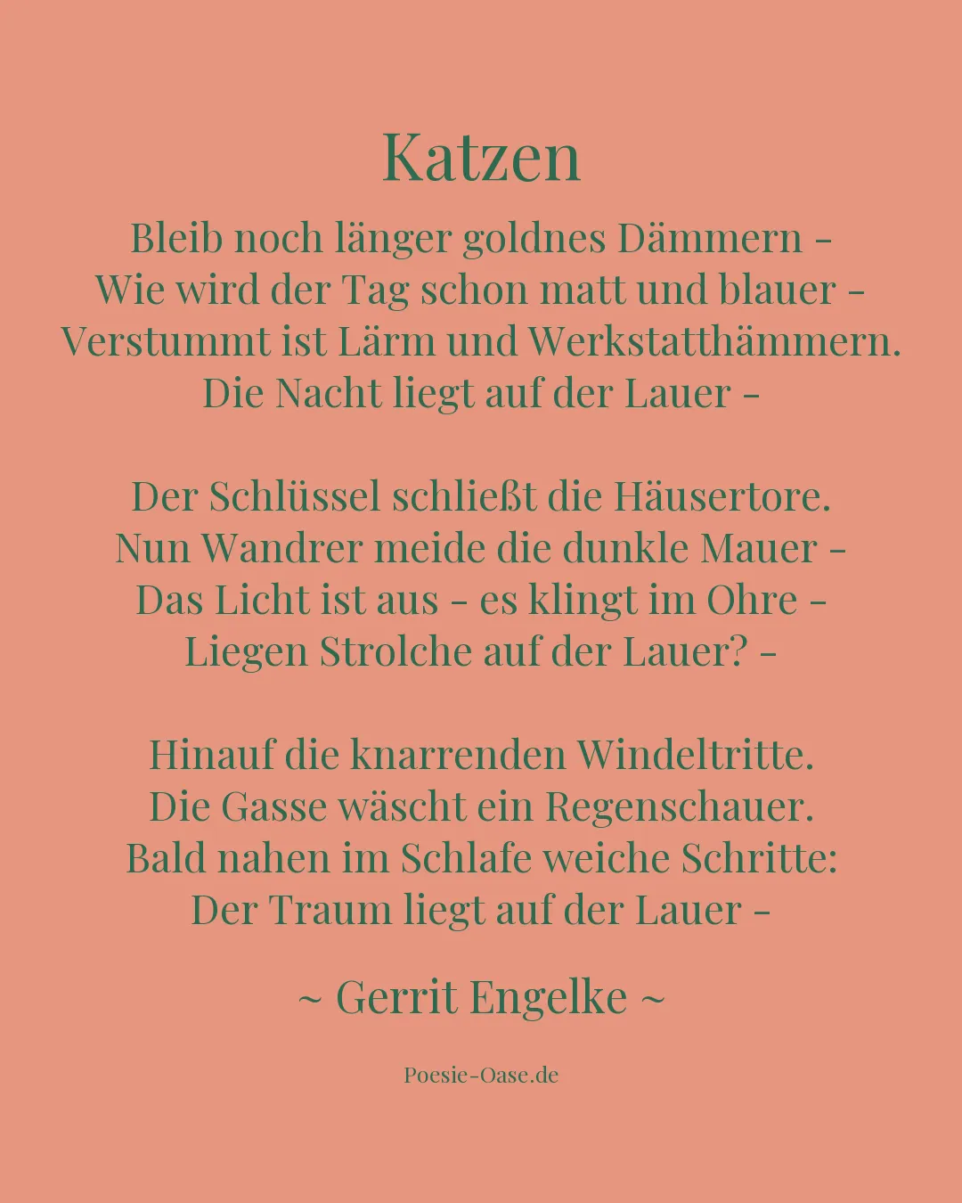 Illustration zu Katzen