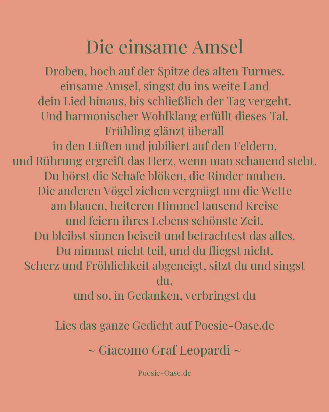 Illustration zu Die einsame Amsel