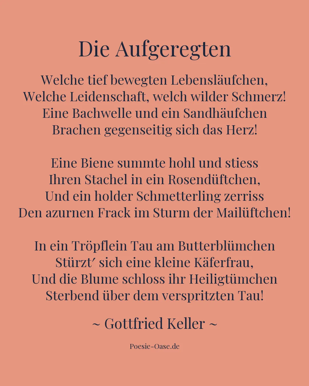 Illustration zu Die Aufgeregten