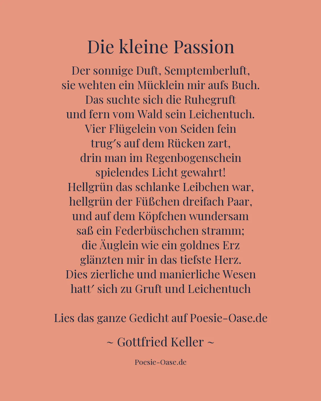 Illustration zu Die kleine Passion