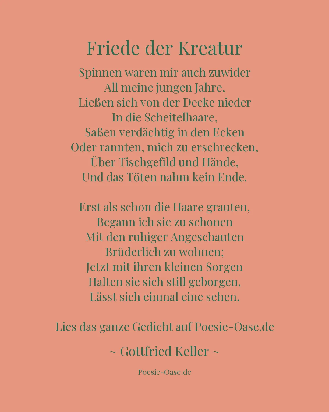 Illustration zu Friede der Kreatur