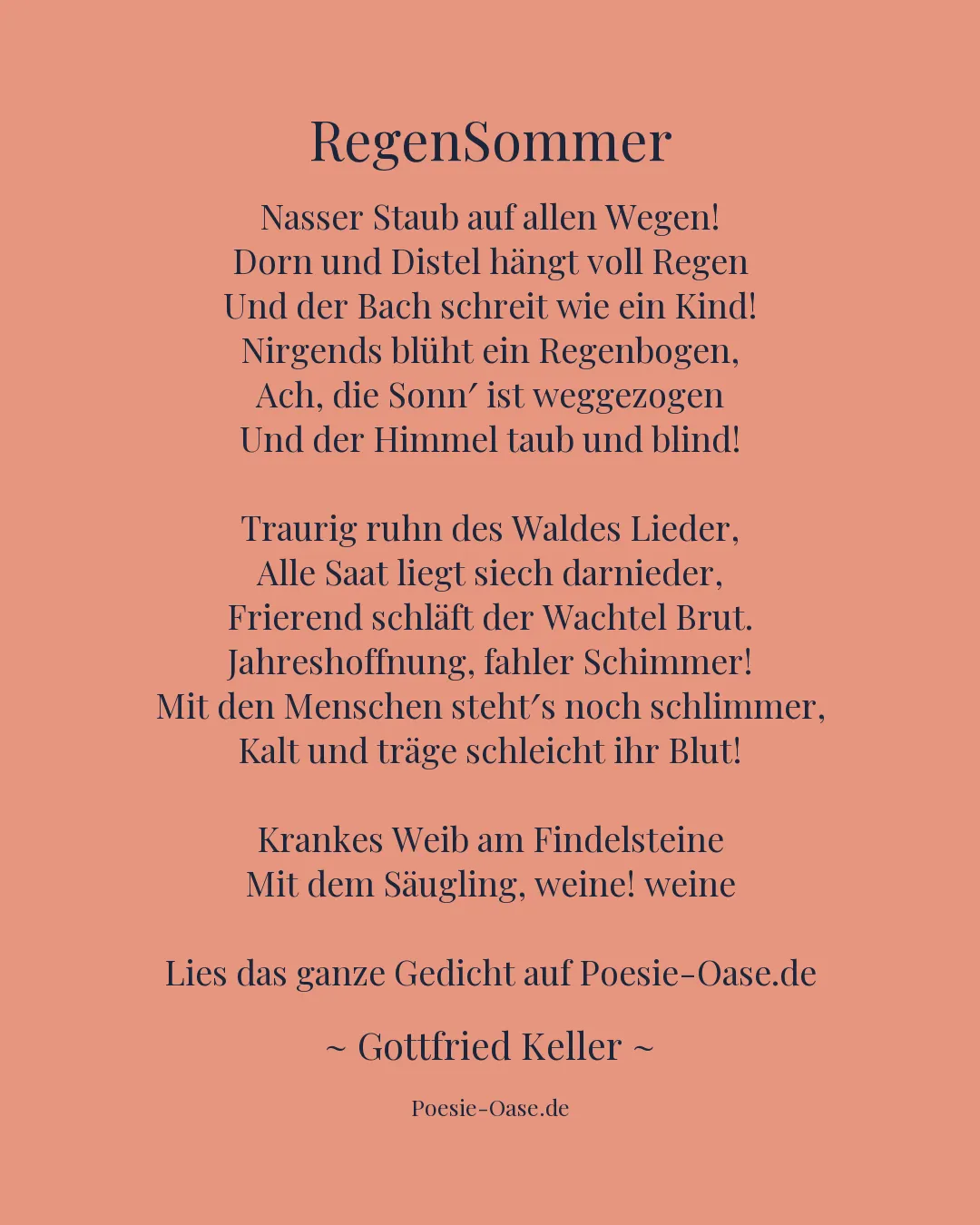 Illustration zu RegenSommer