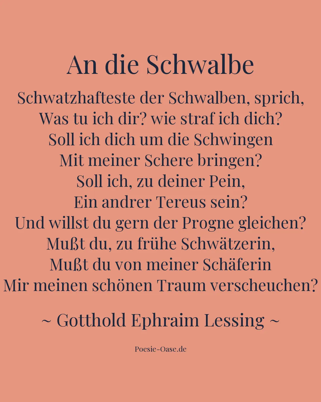 Illustration zu An die Schwalbe