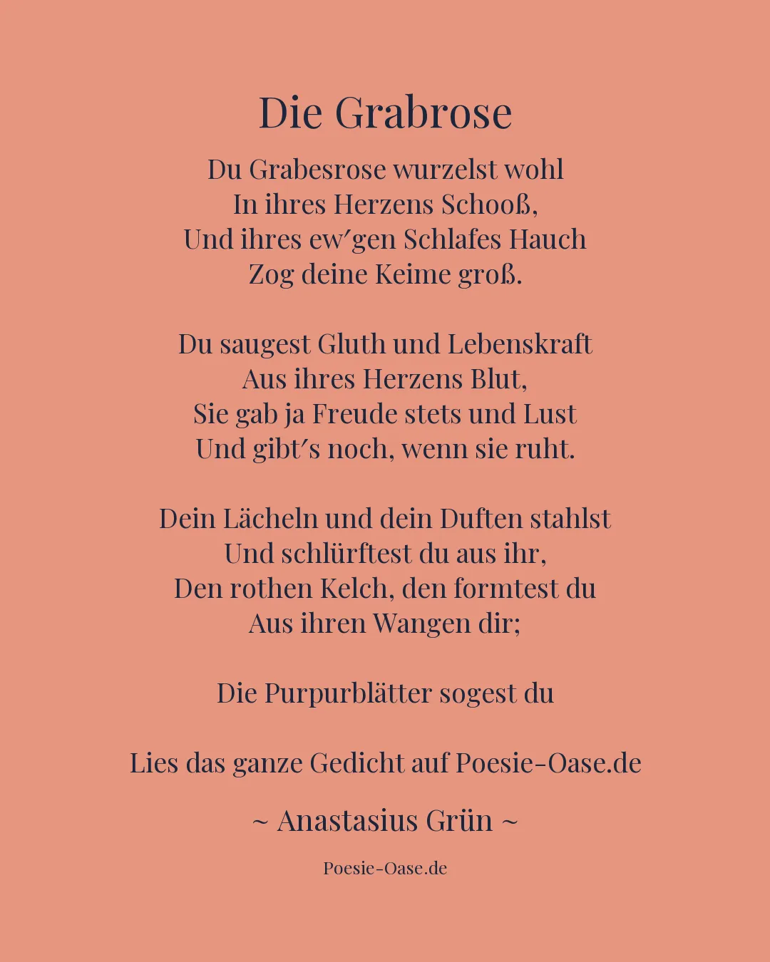 Illustration zu Die Grabrose