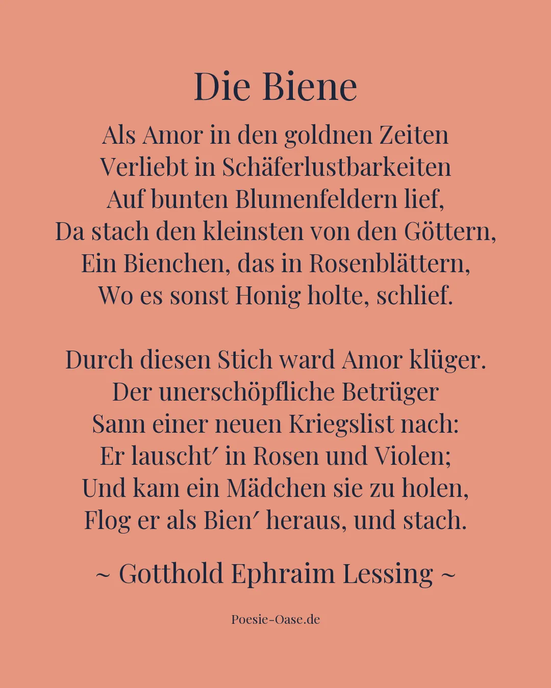 Illustration zu Die Biene