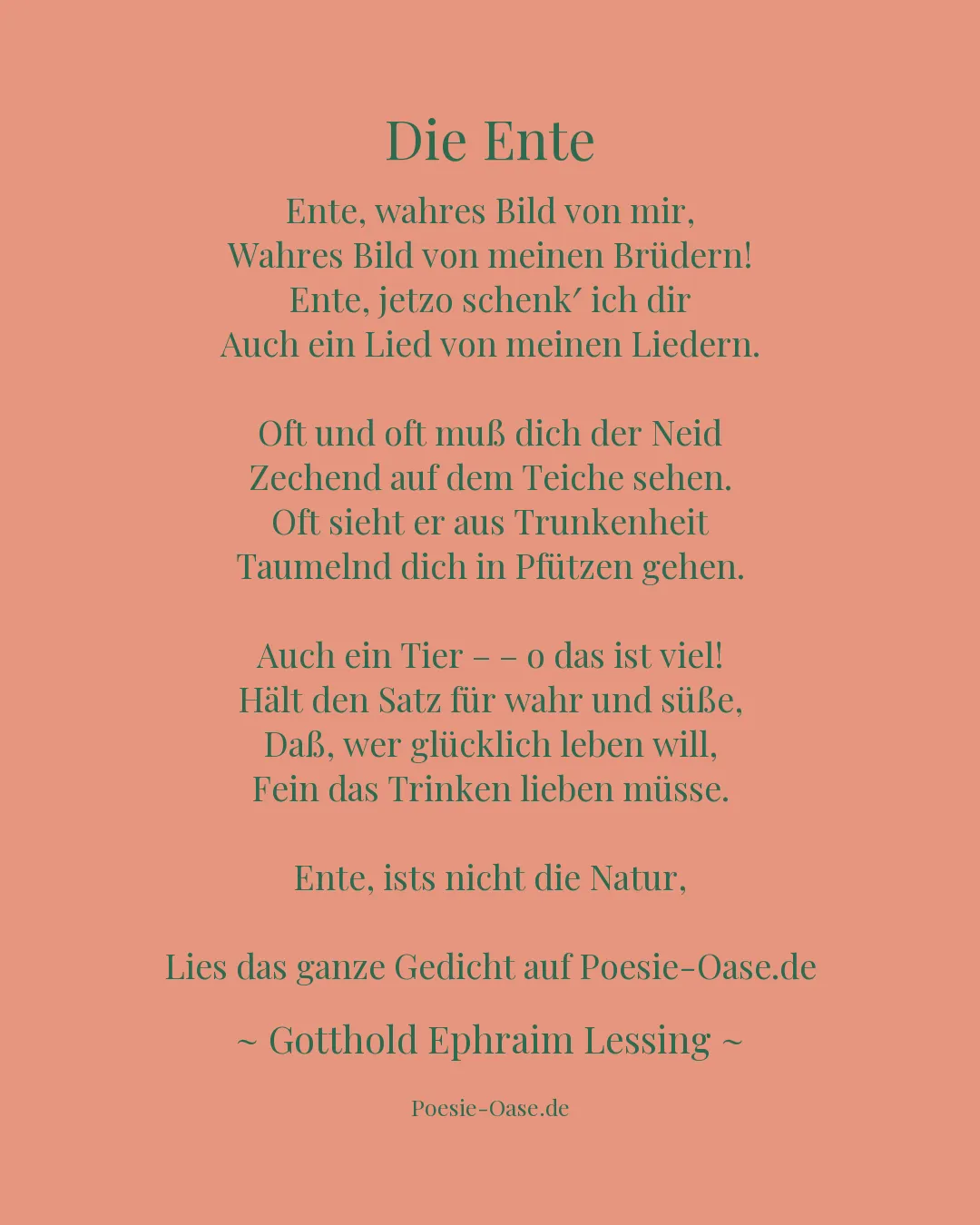 Illustration zu Die Ente