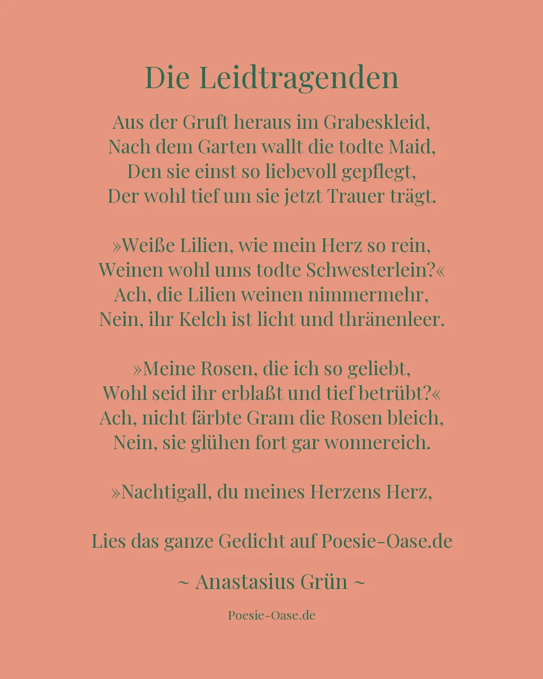 Illustration zu Die Leidtragenden