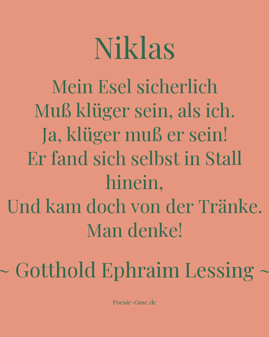 Illustration zu Niklas
