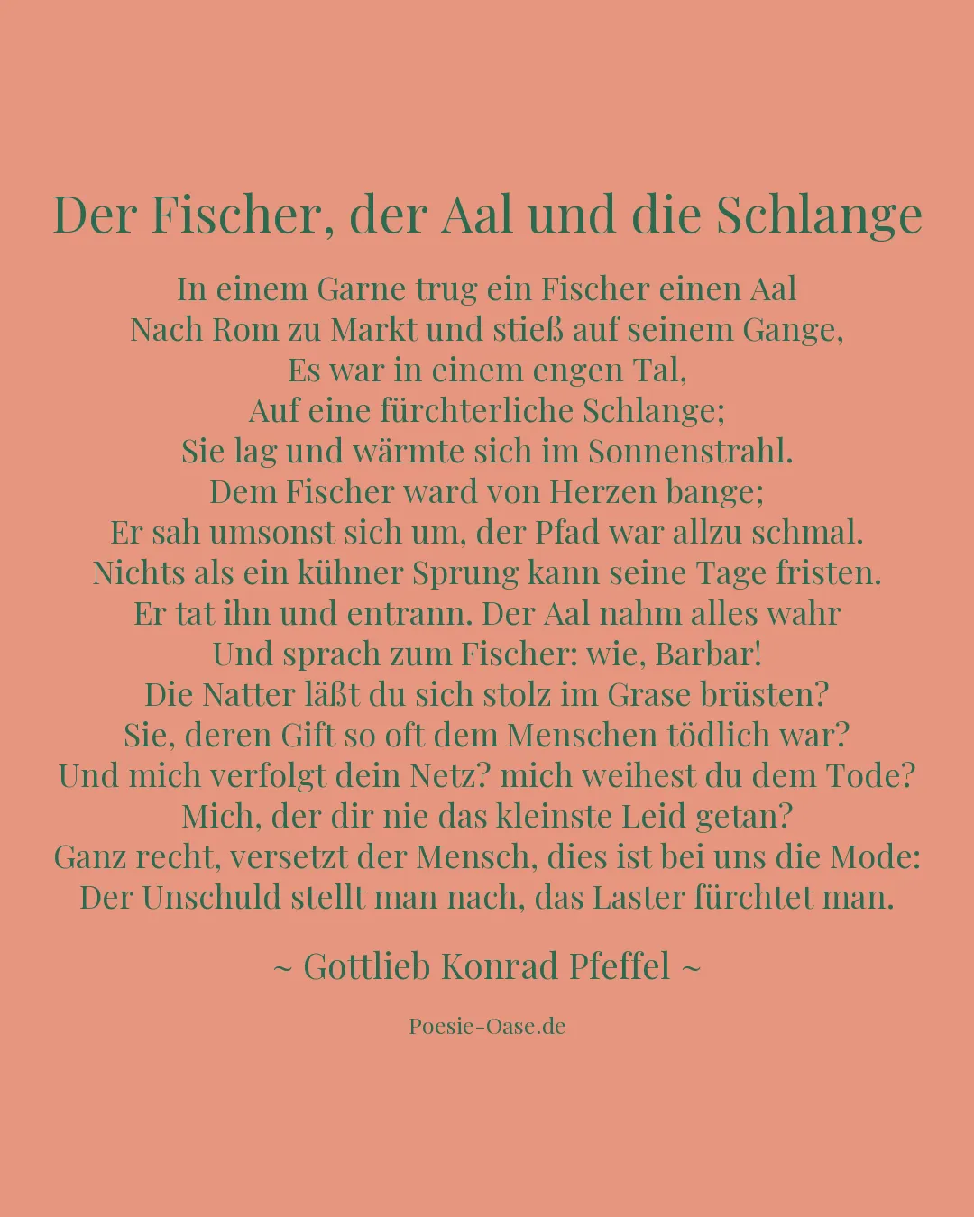 Illustration zu Der Fischer, der Aal und die Schlange