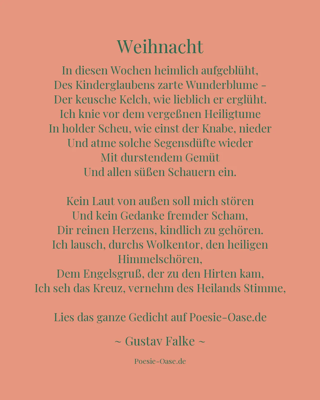 Illustration zu Weihnacht