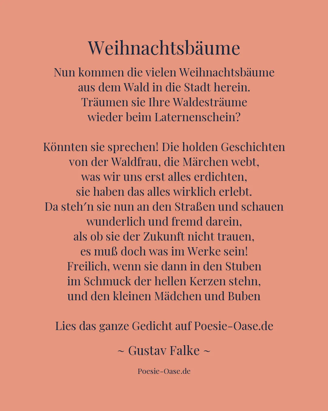 Illustration zu Weihnachtsbäume