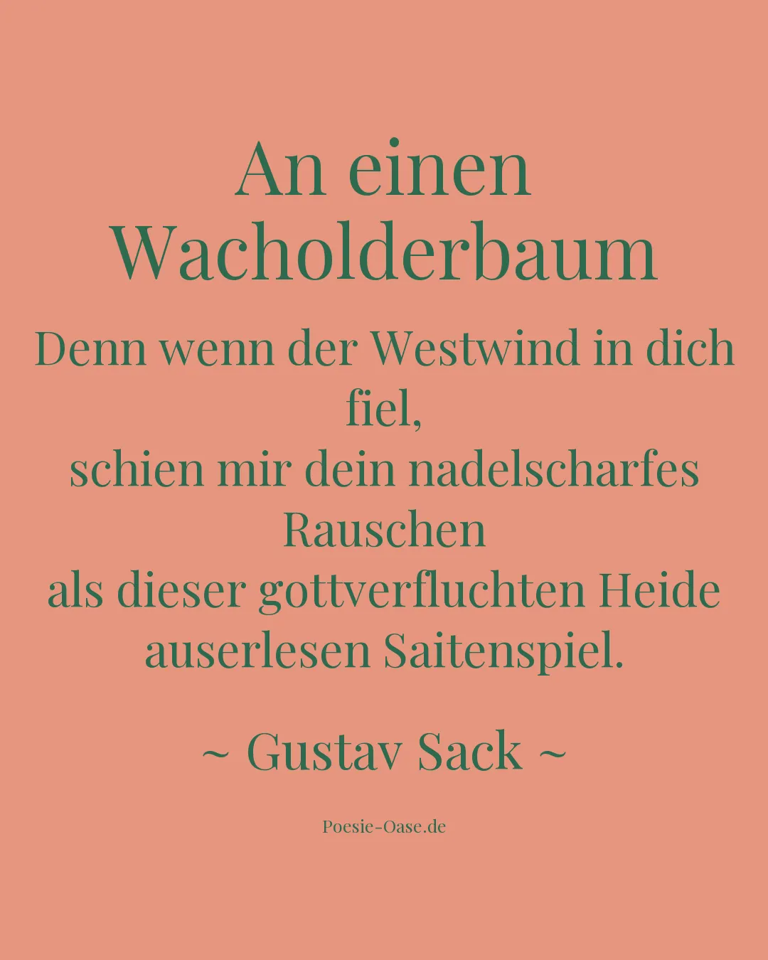 Illustration zu An einen Wacholderbaum