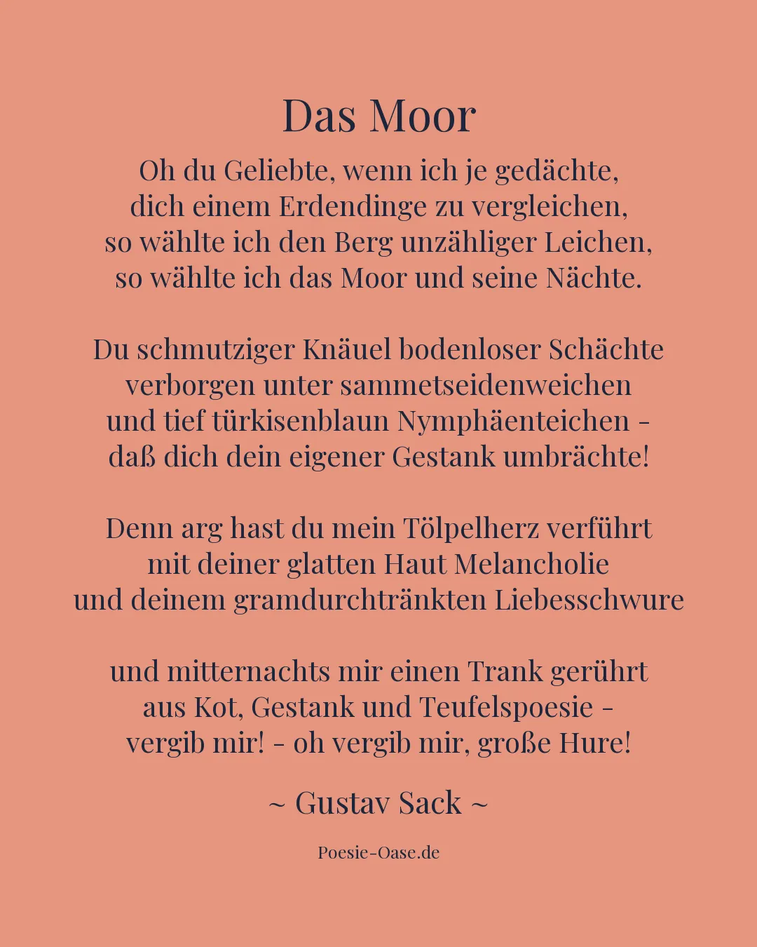 Illustration zu Das Moor