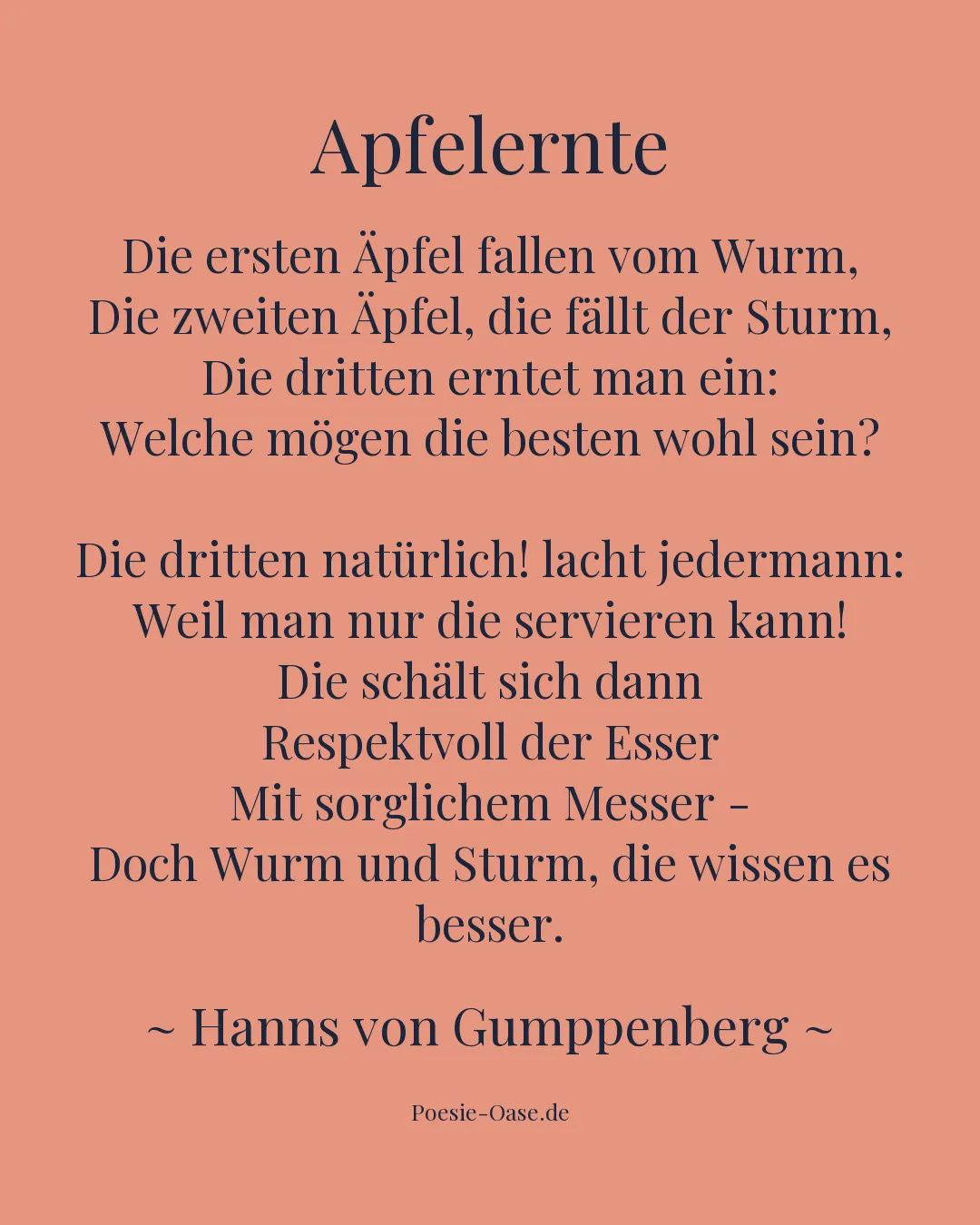 Illustration zu Apfelernte