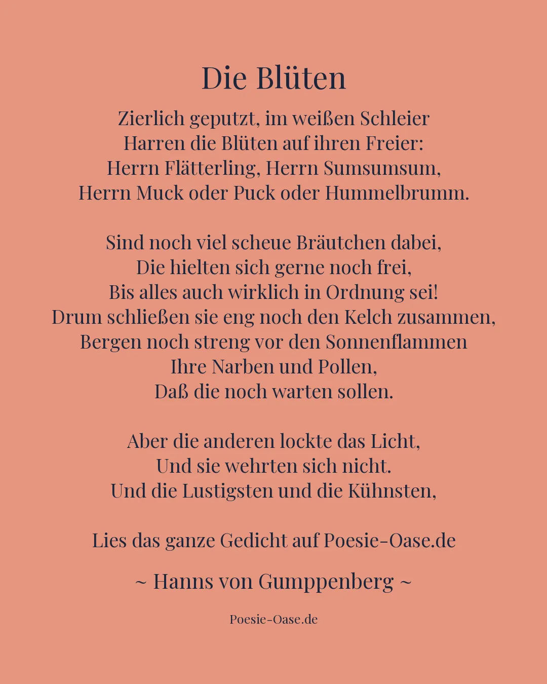 Illustration zu Die Blüten