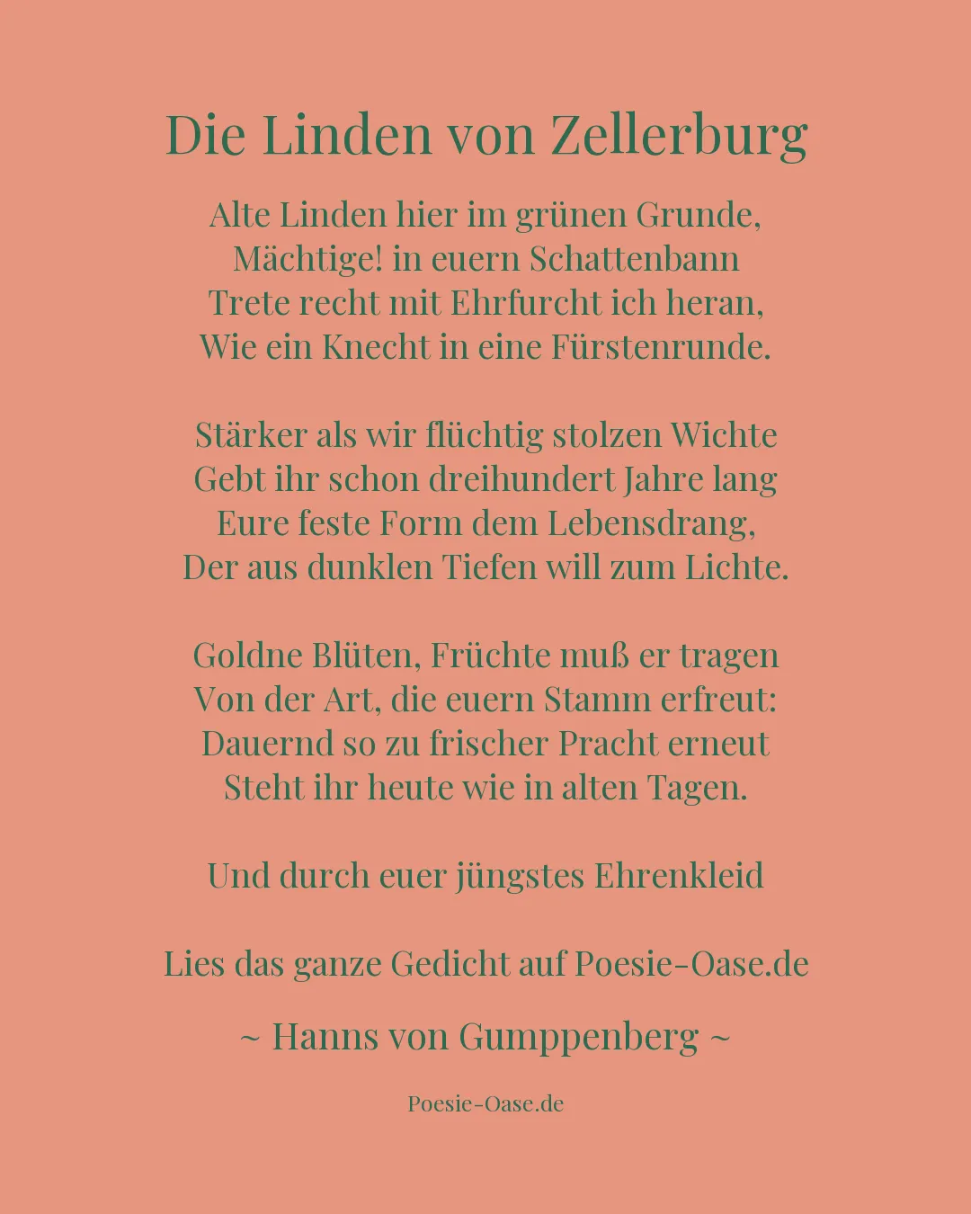 Illustration zu Die Linden von Zellerburg