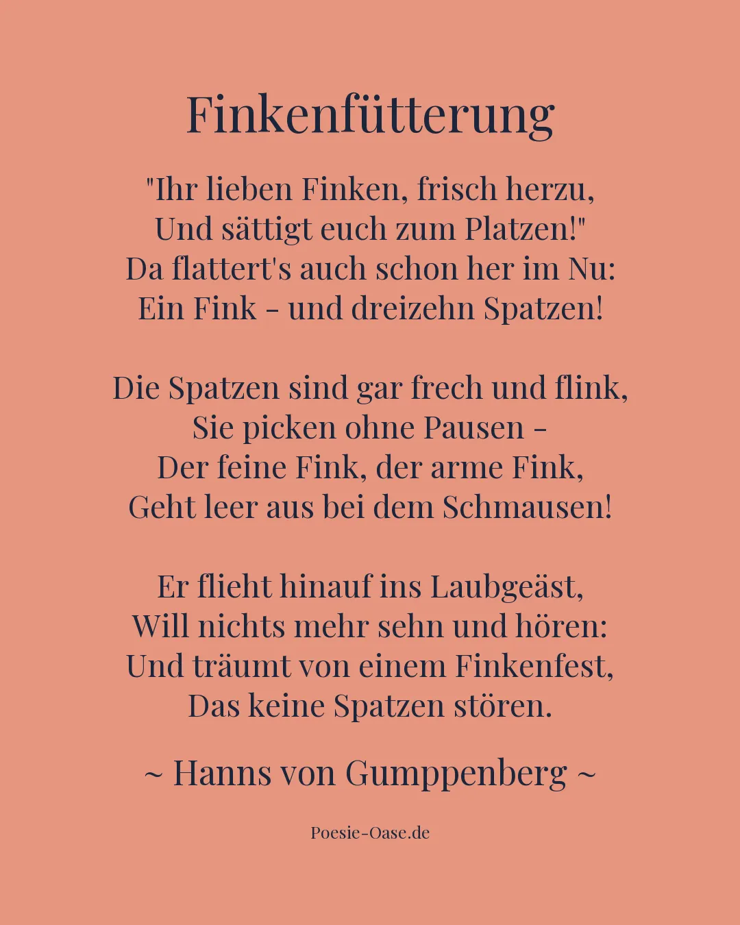 Illustration zu Finkenfütterung