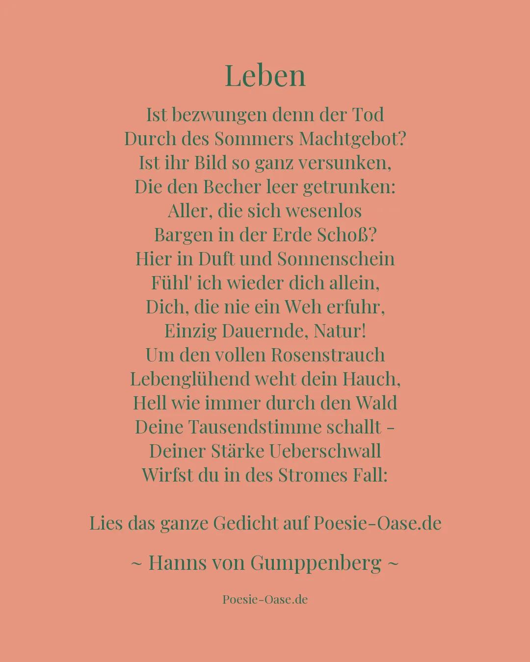 Illustration zu Leben