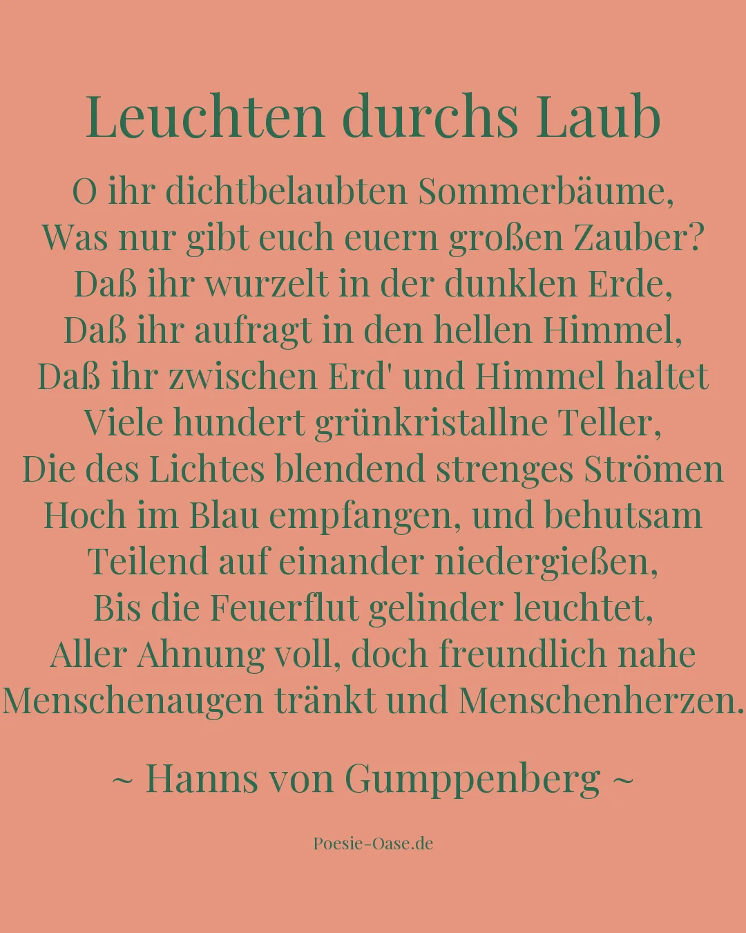 Illustration zu Leuchten durchs Laub
