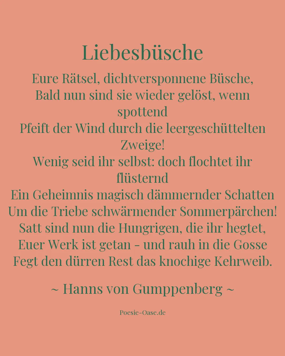 Illustration zu Liebesbüsche