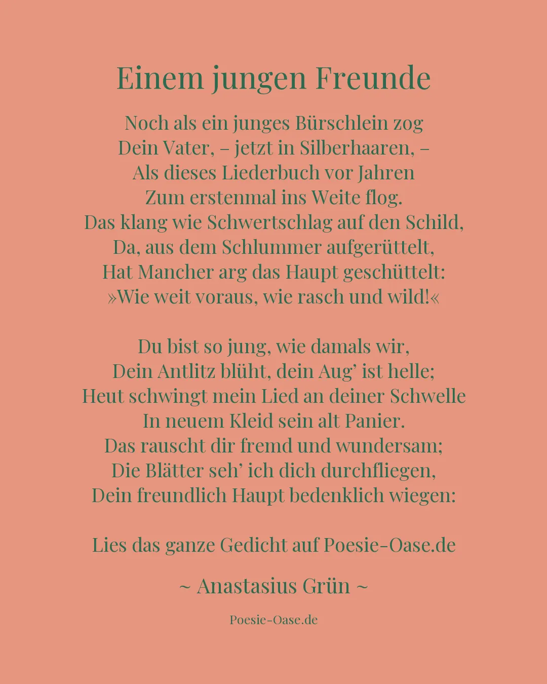 Illustration zu Einem jungen Freunde