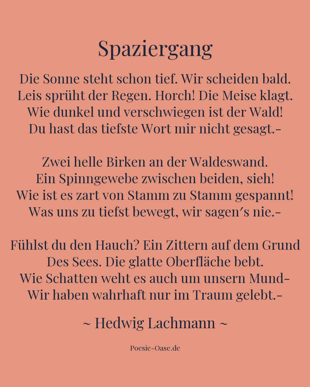 Illustration zu Spaziergang