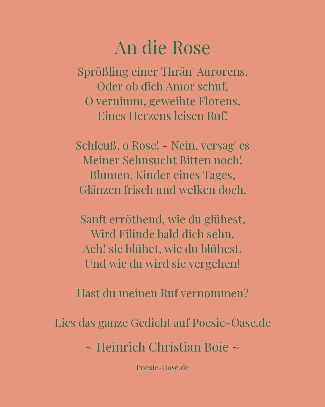Illustration zu An die Rose
