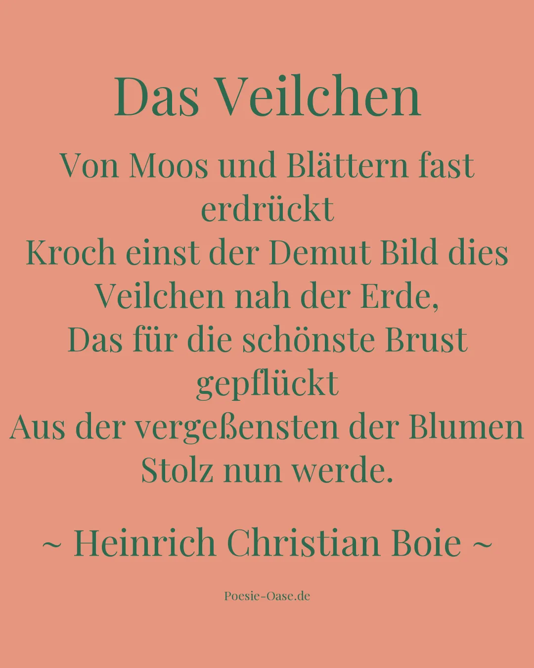 Illustration zu Das Veilchen