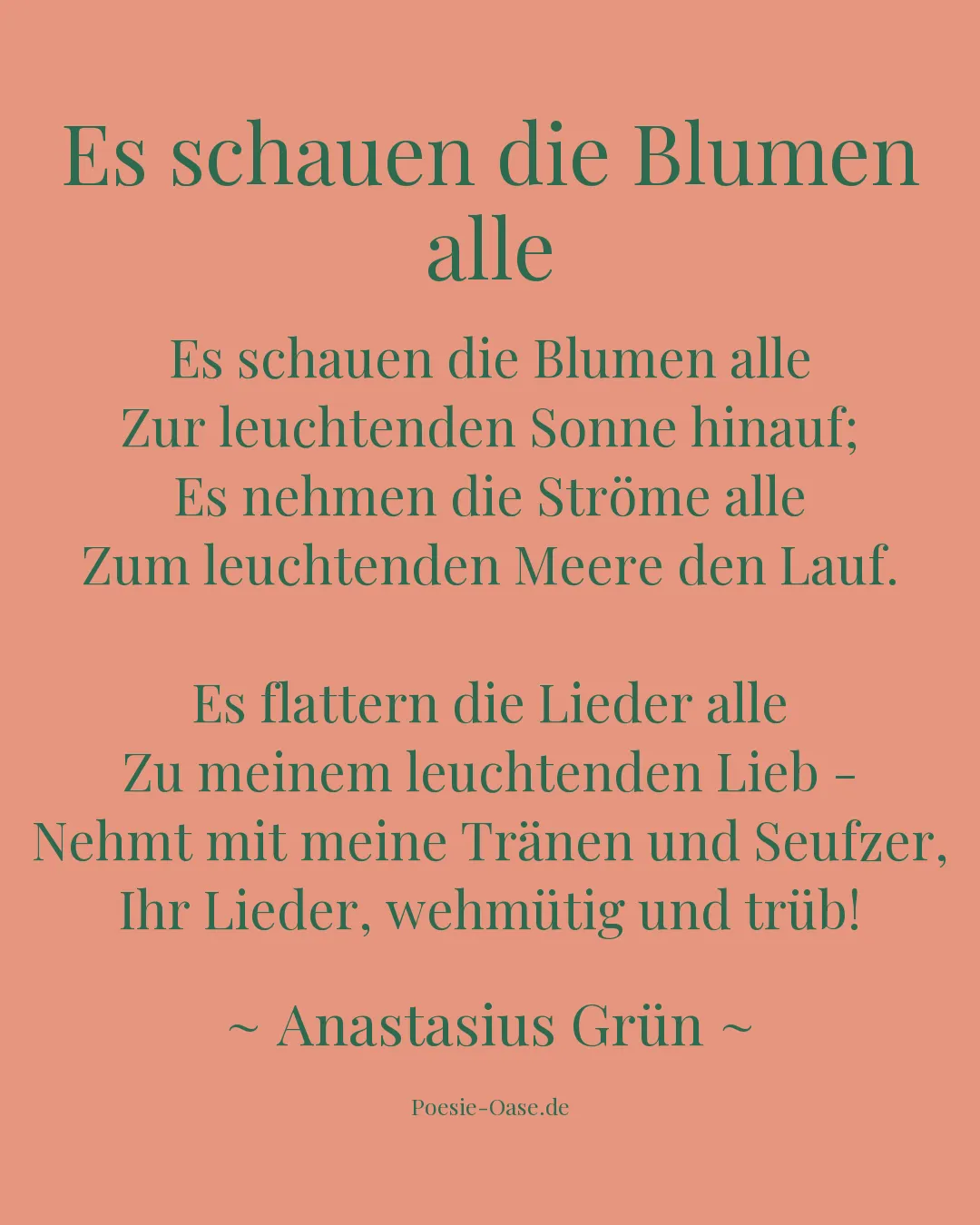 Illustration zu Es schauen die Blumen alle